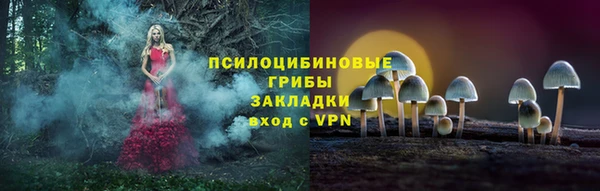 ГАЛЛЮЦИНОГЕННЫЕ ГРИБЫ Бронницы