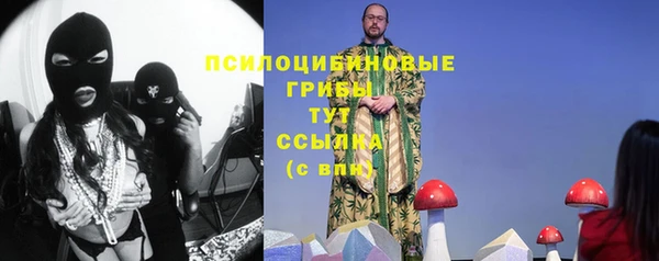 стаф Белоозёрский