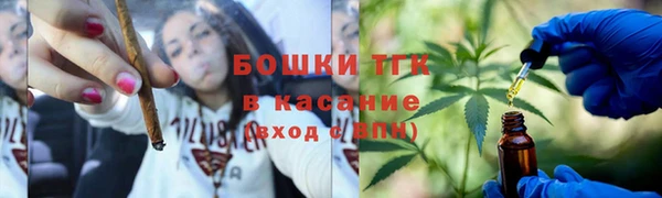 ГАЛЛЮЦИНОГЕННЫЕ ГРИБЫ Белокуриха