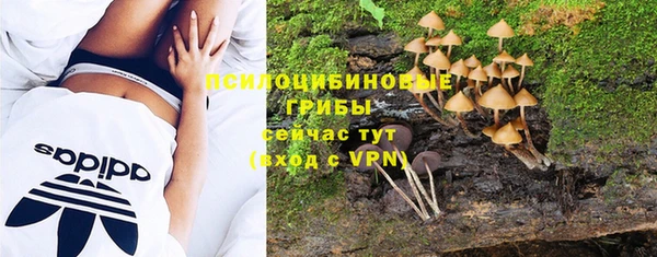 ГАЛЛЮЦИНОГЕННЫЕ ГРИБЫ Бронницы