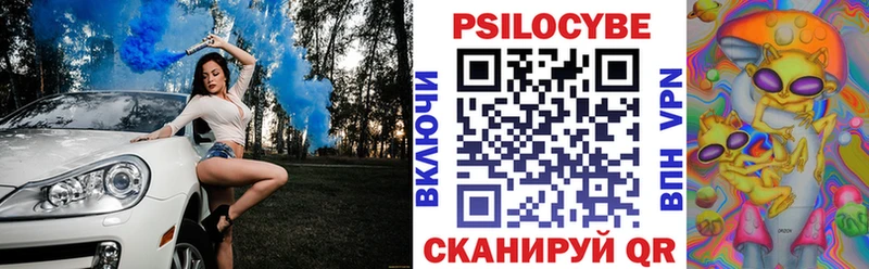 Псилоцибиновые грибы GOLDEN TEACHER  наркошоп  OMG онион  Старица 